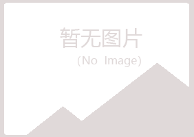 韶关山柳建设有限公司